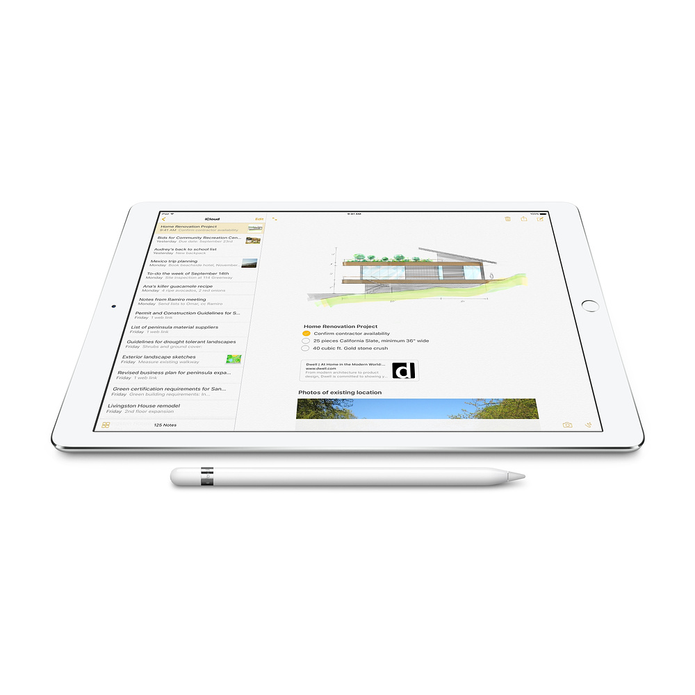 stylus pro iPad